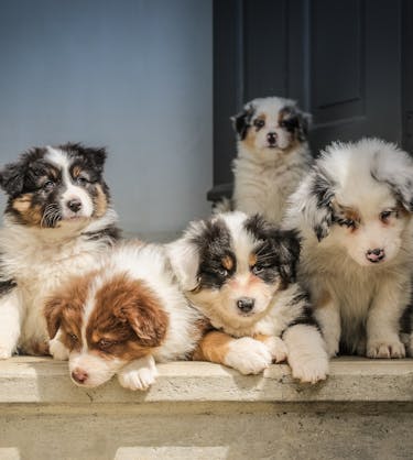 Typen von Mitarbeiterschulung | 360Learning