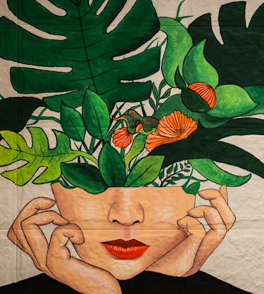 development-plan-examples