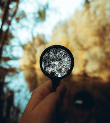 Schulungsbedarf ermitteln Vorlage | 360Learning