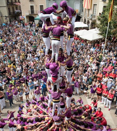 Collaborative learning techniques