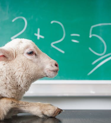 Neue Mitarbeitende onboarden | 360Learning 