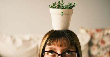 plant representing skilling and learning